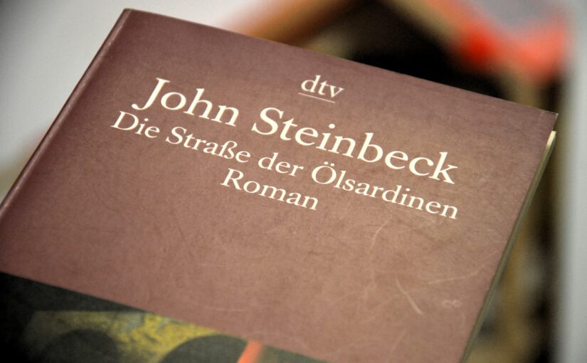 Zeitlos im Bücherregal