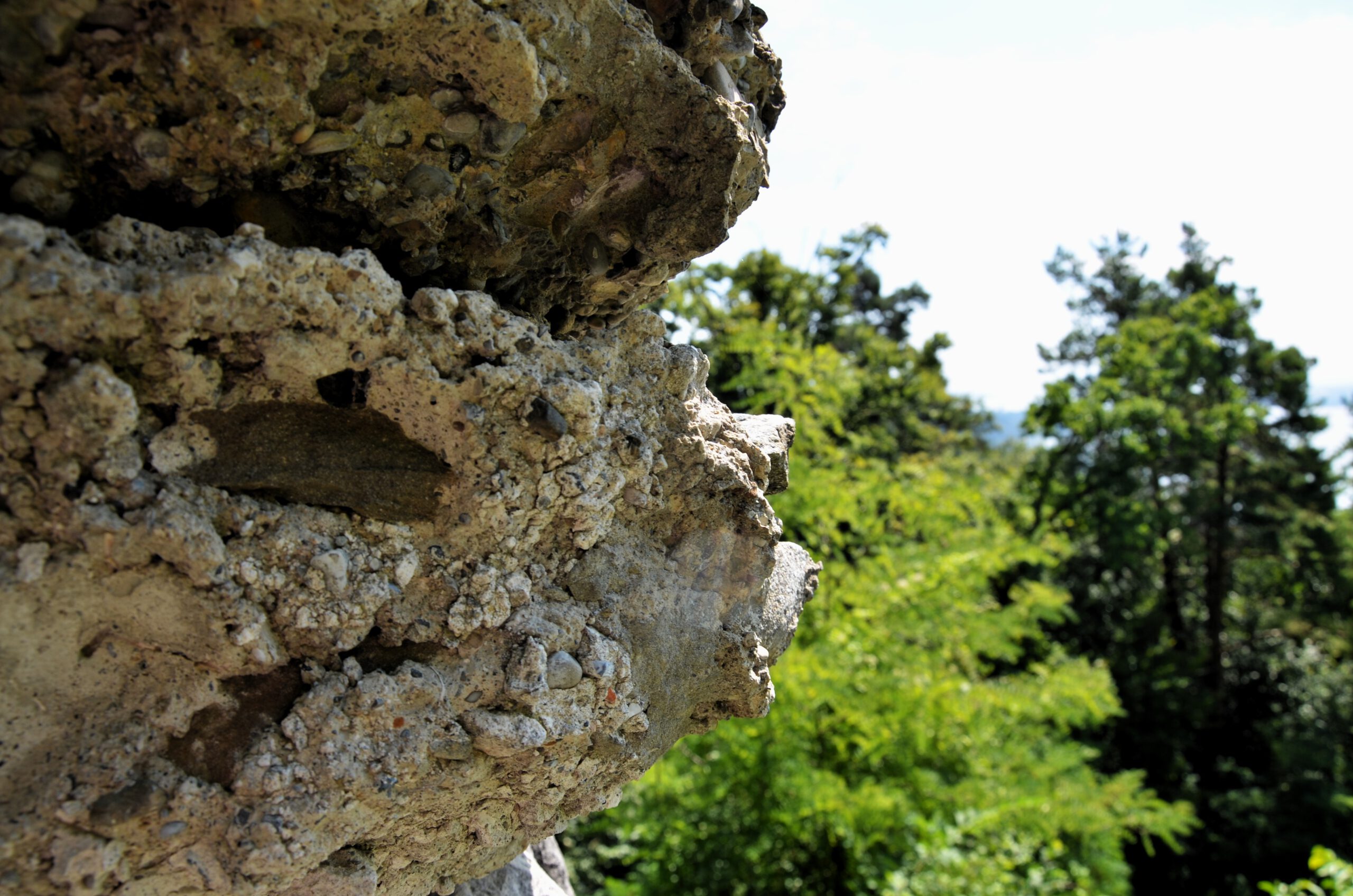 Burg Hohenfels — zwischen Wald und Geschichte