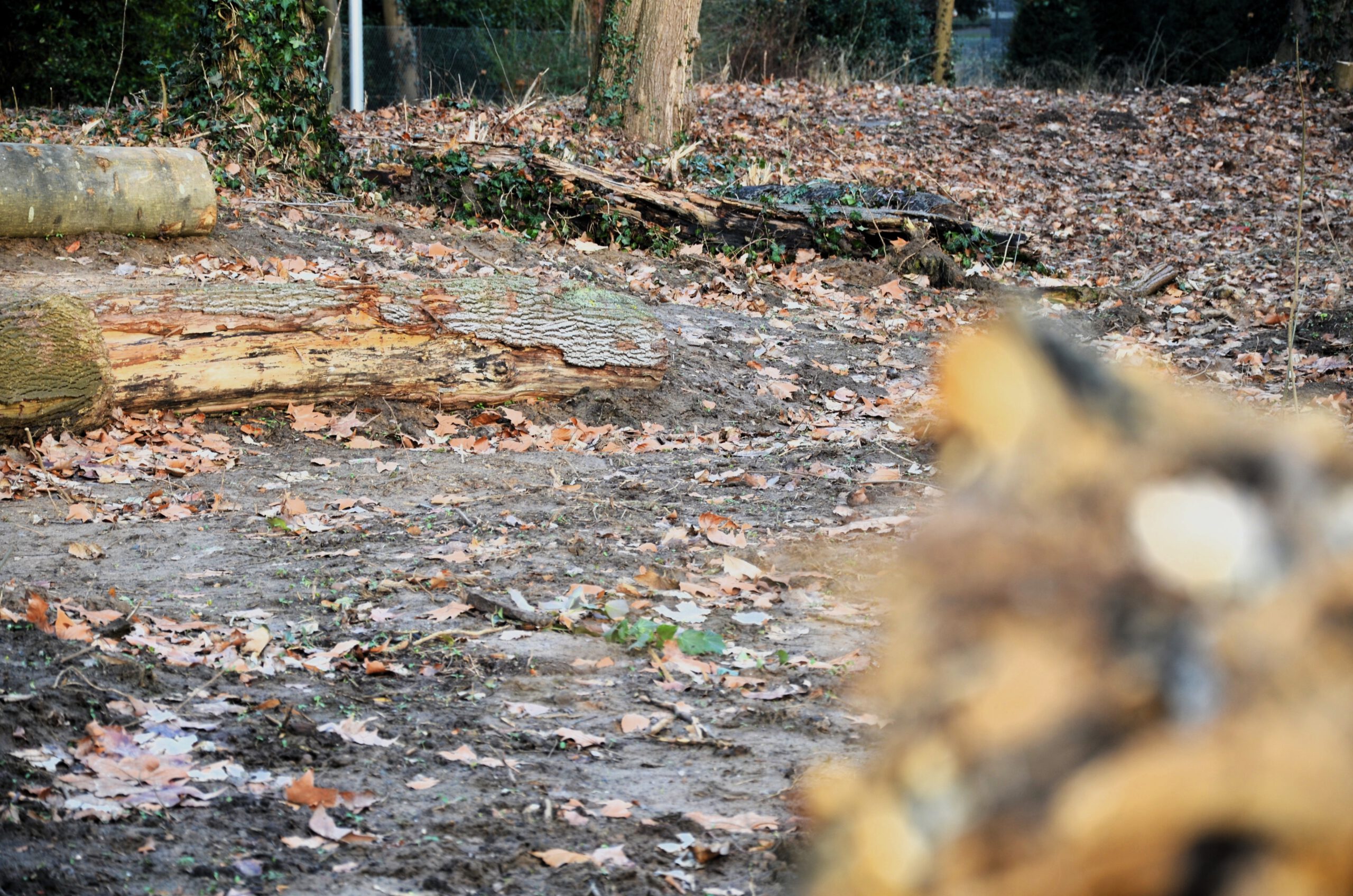 Ein Theater unter der Erde